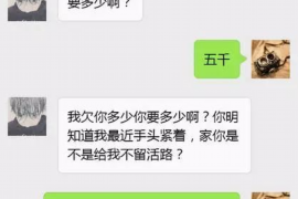 龙口专业催债公司的市场需求和前景分析